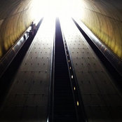 Joanna Iltis's photo