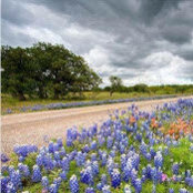 Jill Prince's photo