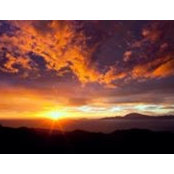 Javier Fenoll's photo