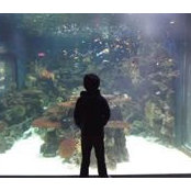 Rodrigo Cabrera's photo