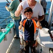Tom Largeys foto