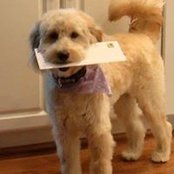 Denise Kenney's photo