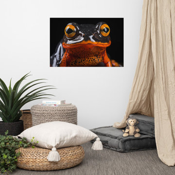 Frog Art: Dangerously Beautiful Mantella Frog Photorealism