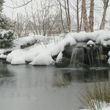 Pond Waterfalls in Winter (Photo: Aquascapes Inc.):