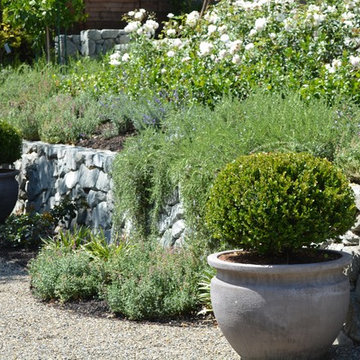 Hillside Terrace and Grey Water!