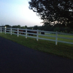 Fence Options - Products