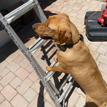New Eagle Capistrano Tile Roof _ Teak Approves
