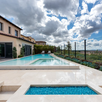 Irvine Landscape with Raised Pool & Spa