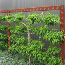 Outside Ideas