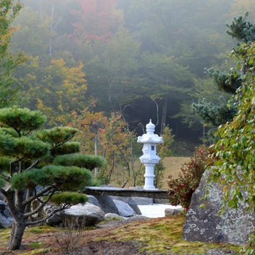 Autumn Colors