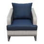 Gray With Navy Cushions