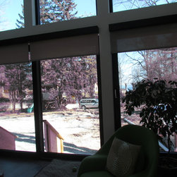 Motorized Sunscreen Roller Shades - Transitional Home - Oakville - Roller Shades