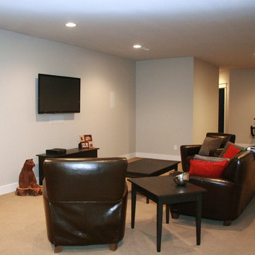 Basement Rec Room, Peoria, Illinois