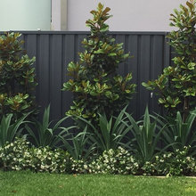 Landscaping ideas