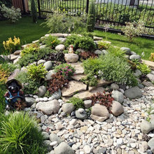 Backyard landscaping