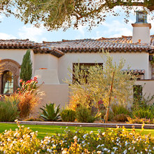 Landscape Ideas