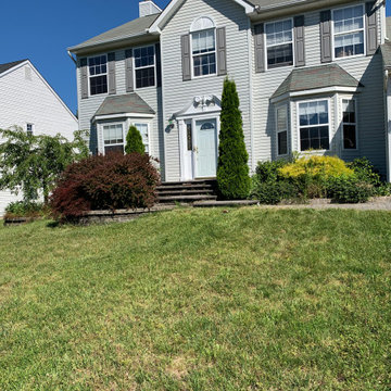 Before Picture Of An Overgrown Landscape Property.