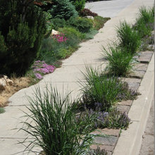 parking strip