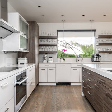 Spring Meadow Residence-Bozeman Urban Oasis