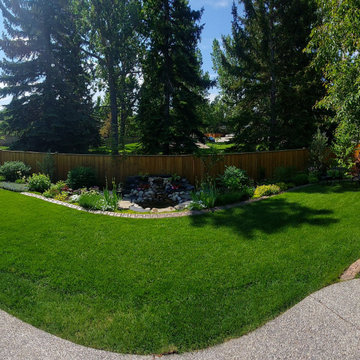 Garden update