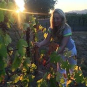 Meryl Van Der Merwe's photo