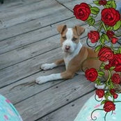 Karen Hansen's photo