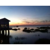 Duane Lucero's photo