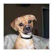 Kelly Condick's photo