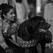 Foto von Heli Patel