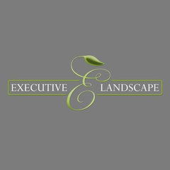 Executive Landscape