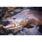 Eric Neufeld's photo