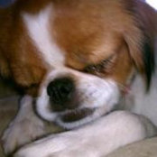 Foto von Brenda Doyle