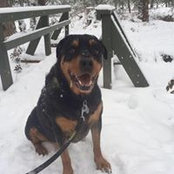 Victoria Severinski's photo