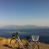 Stephanie Bond's photo