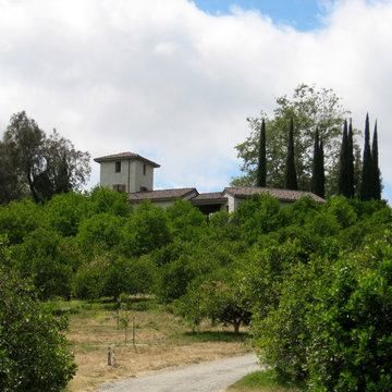 Tuscan Grove