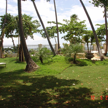 DM Residence