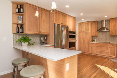 Kitchen - transitional kitchen idea in Denver