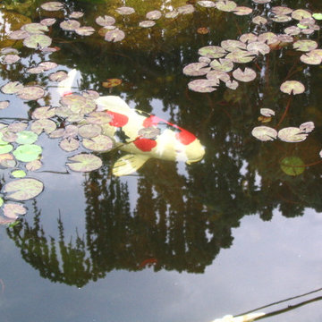 TJB-INC Display Gardens & Ponds - 12 Crestway Hamden