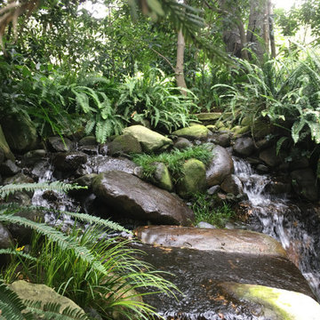 Residential Backyard Water Feature