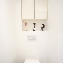 Toilet Reno