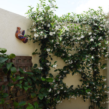 French Provincial Adelaide Garden