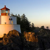 Sam B's photo
