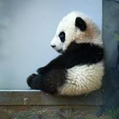 Zhe Zuo's photo