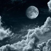 Thandi Wolfe's photo