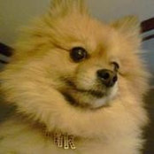 Shannon Goodwin's photo