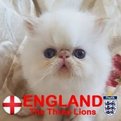 Helen Morton's photo