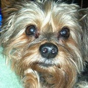 Brenda Berry Aldrich's photo
