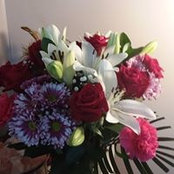 Deb Weigel's photo
