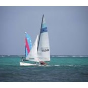 Kim Bierman's photo