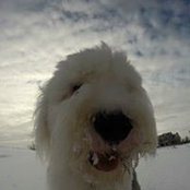 Foto de Ellen Dunn
